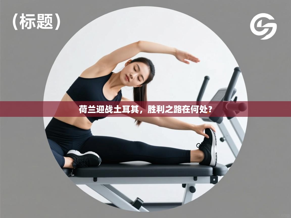 荷兰迎战土耳其，胜利之路在何处？  第2张